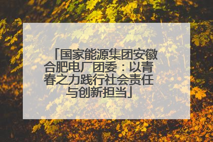 国家能源集团安徽合肥电厂团委：以青春之力践行社会责任与创新担当